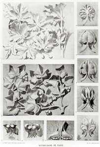 ノートルダムの復元のための建築の詳細 作： Eugene Emmanuel Viollet le Duc